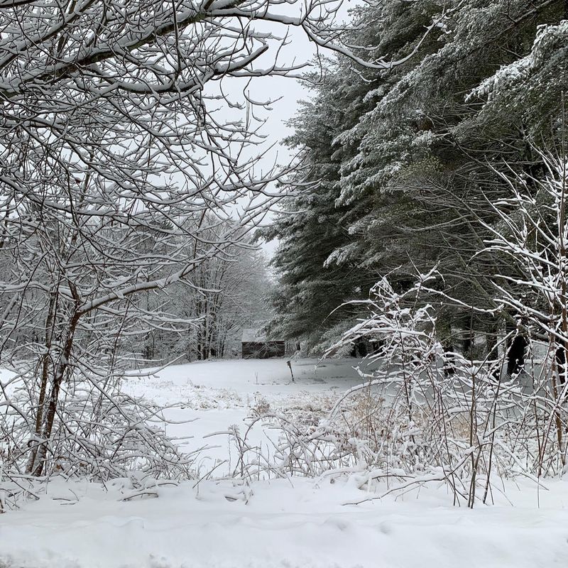 Photographer 3 Charlotte Craig dec 2019 800x800