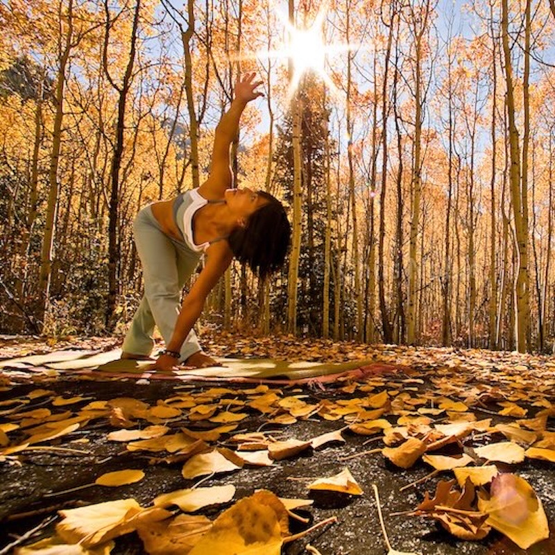 Yogini Ally Nguyen (Asian/American female, late twenties) performs yoga (Revolved Triangle Pose) amid autumn aspen trees, Little Cottonwood Canyon, Salt Lake City, Utah USA.