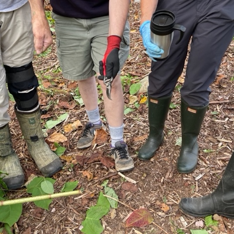 invasive_plant_pull_5.3.25 invasive_plant_pull_5.3.25