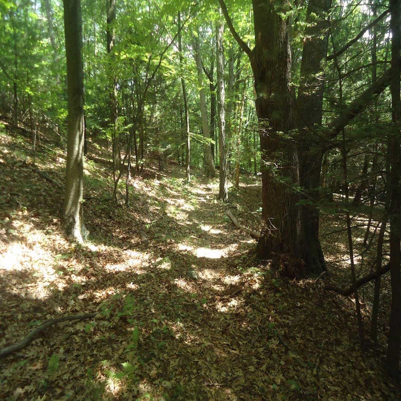 uplands_gallery_phil_philbrick_800x800